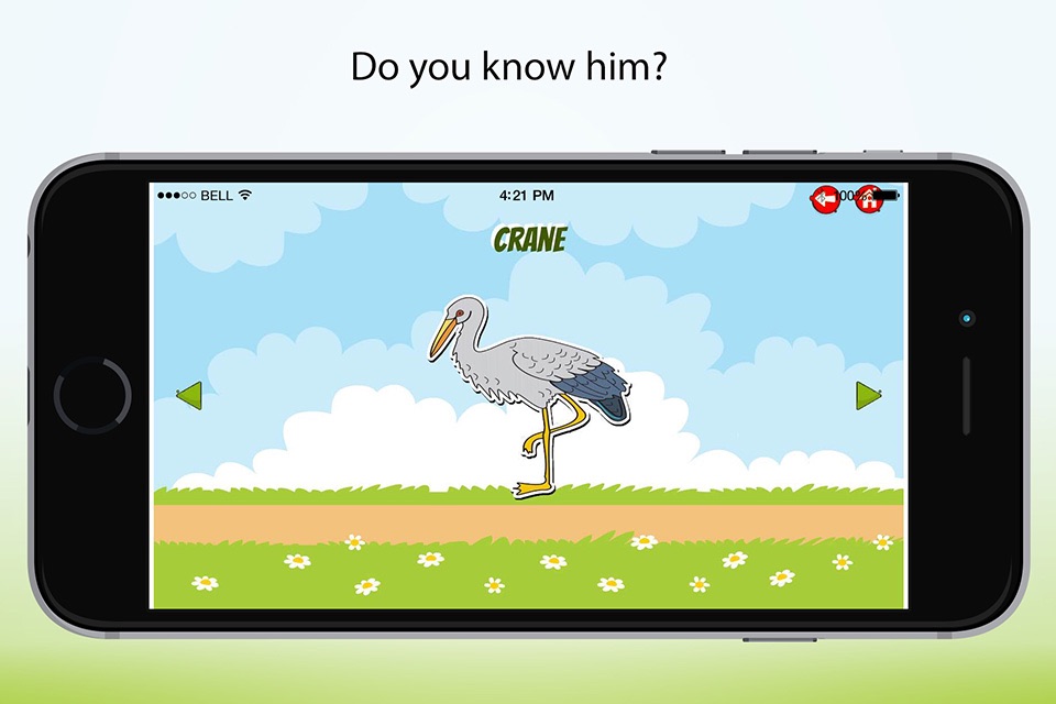 Learn Animals, Birds & Insects screenshot 3
