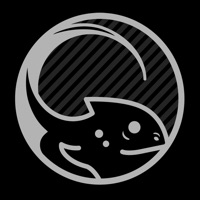 Ng2 Dailies