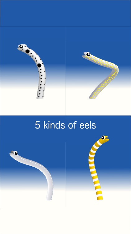 Garden Eel