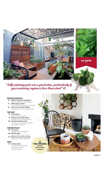 Backyard & Garden Design Ideas screenshot-2