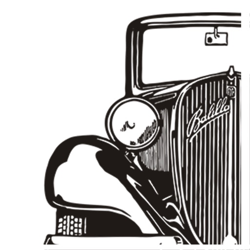 Visitante Rally Maya