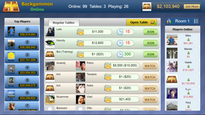 Backgammon Online screenshot 2