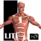 Interactive anatomy reference with 3D rotational models, Gray's anatomy images add-on, Latin names, a muscle highlighting tool and full description