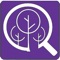 WCUTrees is your guide for learning and identifying any type of tree on Western Carolina University's campus