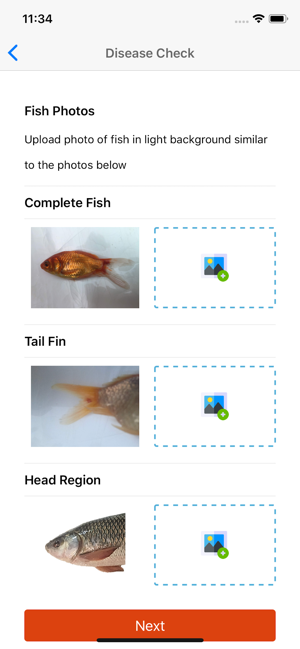 FishMD(圖5)-速報App