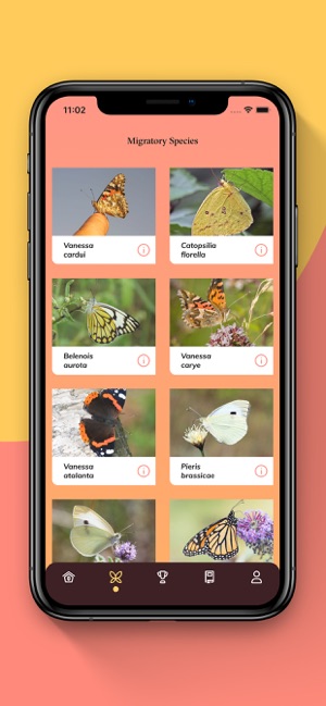 Butterfly Migration(圖3)-速報App