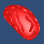 Cell Structure in 3D