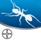 Bayer Pest Portal