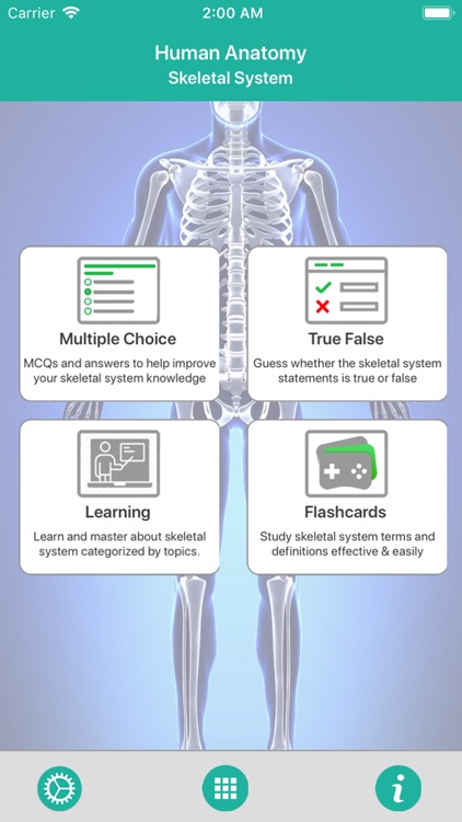 Anatomy - Skeletal System