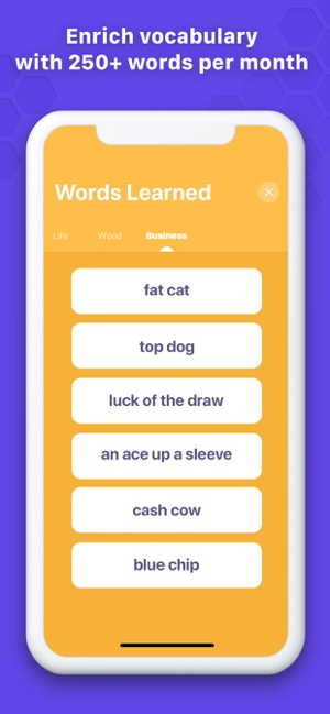 BeeLingvo: learn English words(圖4)-速報App