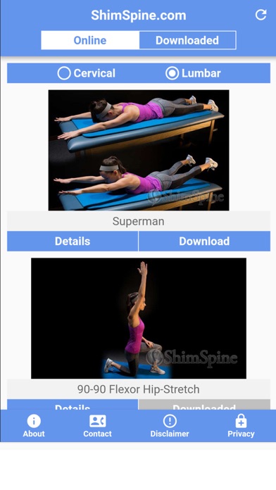ShimSpine Exercises screenshot 2