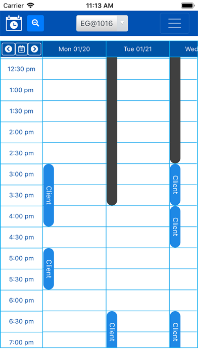 Gyroscheduler screenshot 3