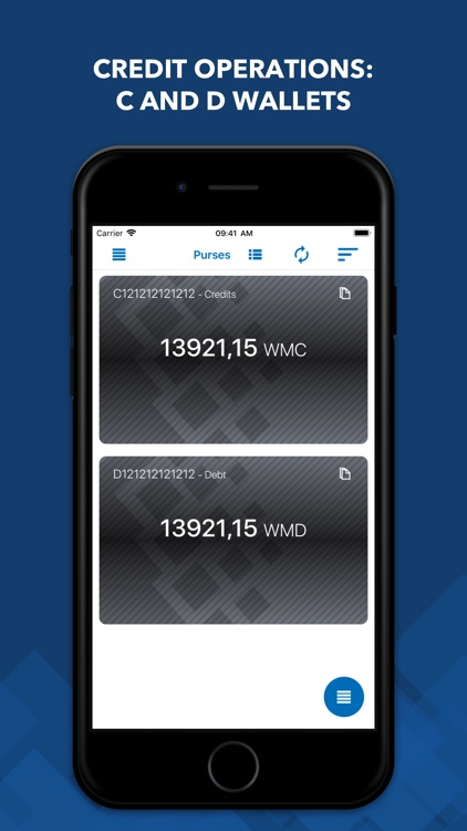 WebMoney Keeper Pro screenshot-4