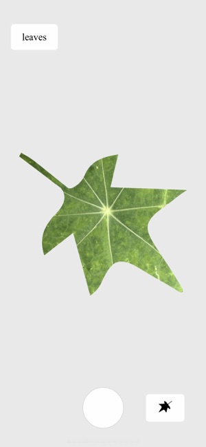 Empty Leaf(圖3)-速報App