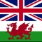Icon English Welsh Dictionary +