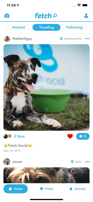 Fetch Social