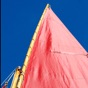 Yacht Racer's Mate app download