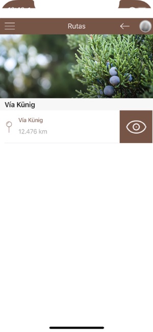 Vía Künig(圖2)-速報App