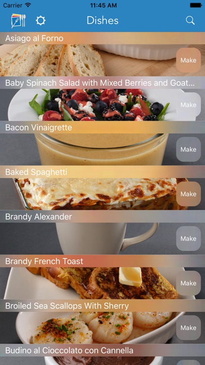 VizChef for iPhone