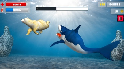 Shark Attack Angry Fish Jaws By Black Chilli Games Adventure - robloxdragon adventuresshark review