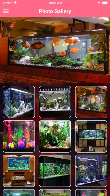 Lucknow Aquariums screenshot-4