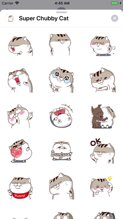 Super Lazy Kawaii Cat - Cat - Sticker