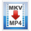 MKV2MP4  PC 용