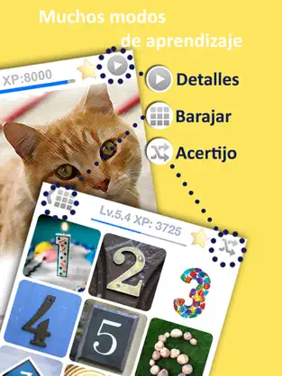 Afbeelding 2 LingoCards 50 idioma y catalán iphone