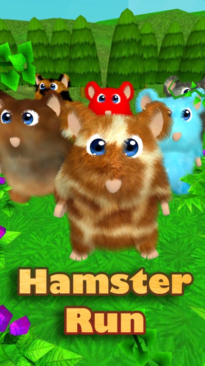 Hamster Run: 3D Dash