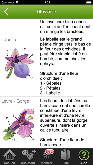 Fleurs en poche Fleurs en poche