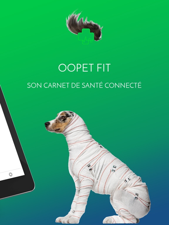Screenshot #5 pour Carnet de santé OOpet Fit