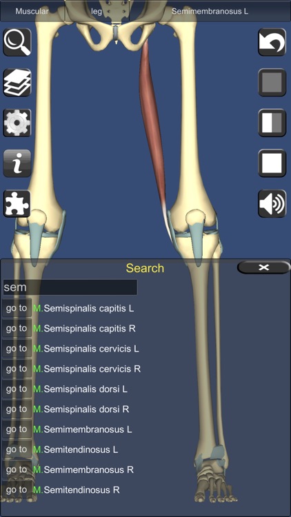 3D Anatomy screenshot-5