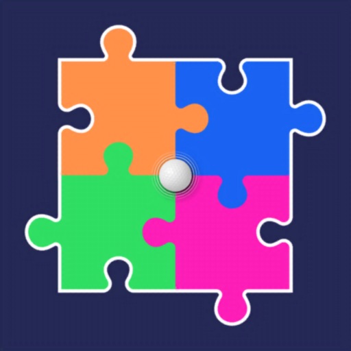 Wrecked Puzzle Piece