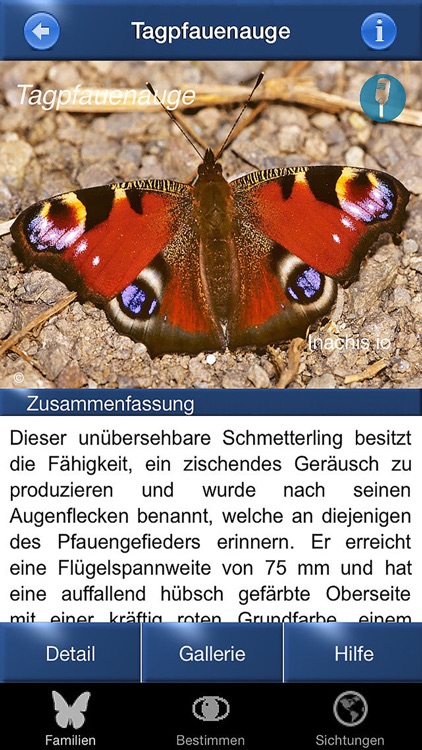 Schmetterling Id - Tagfalter screenshot-4