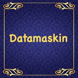 Datamaskin