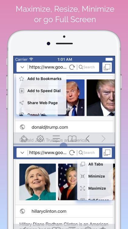 Split Screen Multitasking View