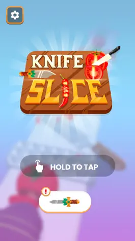 Game screenshot Knife slice mod apk