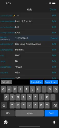 Screenshot 10 MySQL Mobile Client iphone