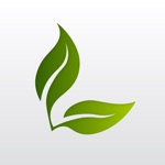 Leaf stress-free productivity