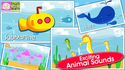 How to cancel & delete Peekaboo Ocean - Who's Hiding Under the Sea? - Animal Names & Sounds for Kids from iphone & ipad 4