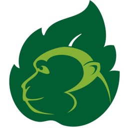 Monkey Forest Scanner