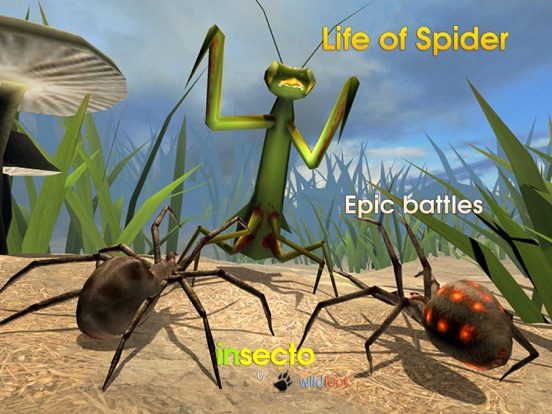 Life Of Spider на iPad