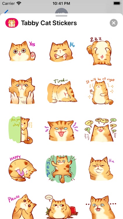 Funny Tabby Cat Stickers