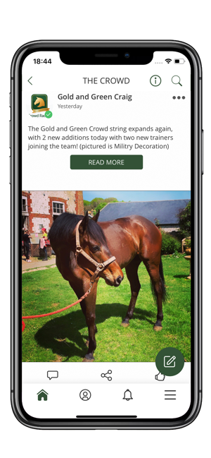 Gold and Green Crowd(圖4)-速報App