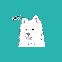 Samoyed - Sticker pour PC