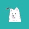 cute samoyed, use in you chat