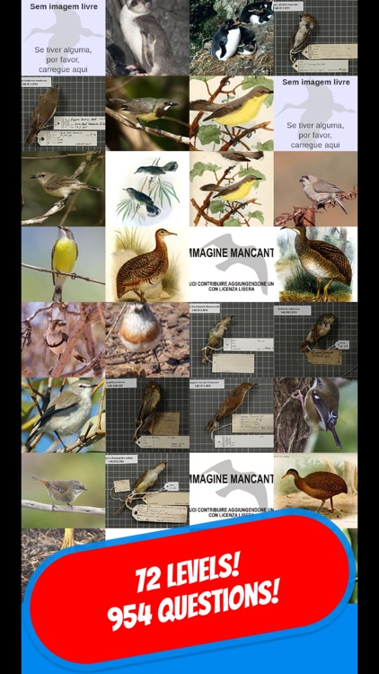 BIRDS & ORNITHOLOGY Quiz