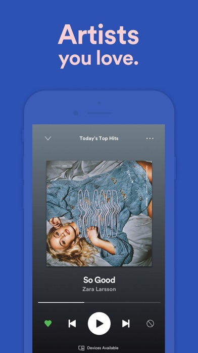 Spotify Screenshot 3