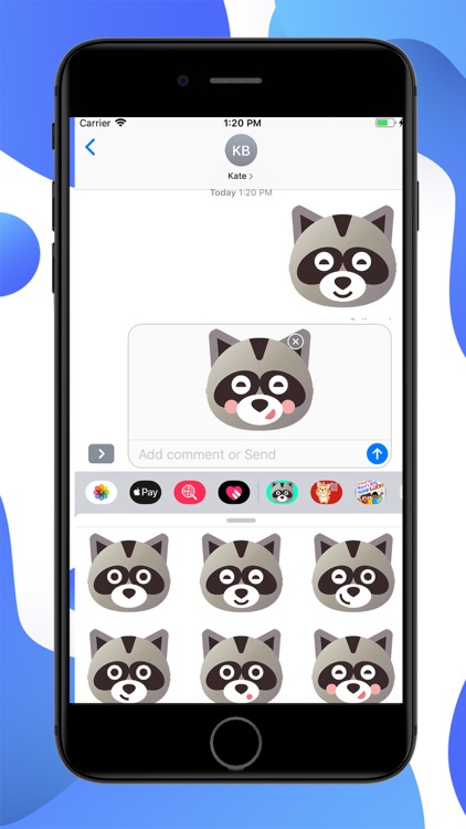 Raccoon Cartoon Stickers