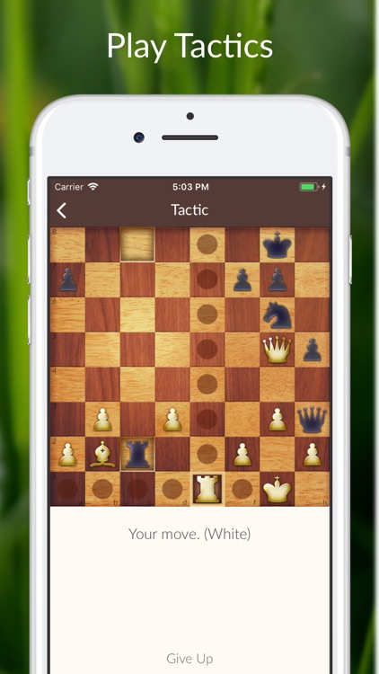 Chess Tactics and Lessons screenshot-0